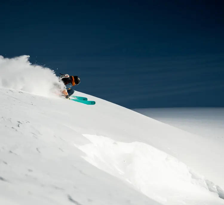 FREERIDE (5)