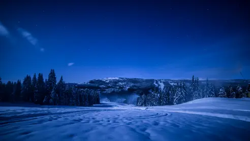 Anders Aasheim Kvitfjell Snøprod2 Vestsiden