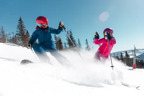 Alpincokvitfjell 36