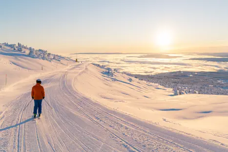 Skirejser Norefjell