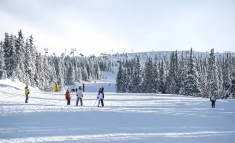 Skiferie til Hafjell