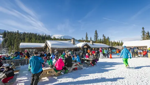 Trysil 25078571490 O