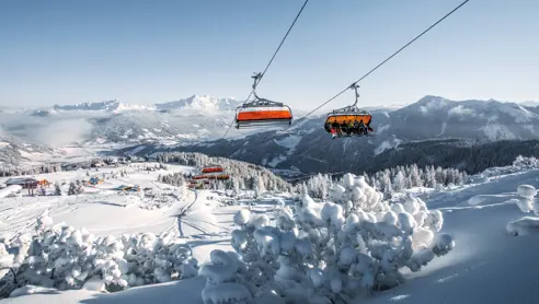 Skiløb helt fra toppen til dalen. Stort sammenhængende område Flachau