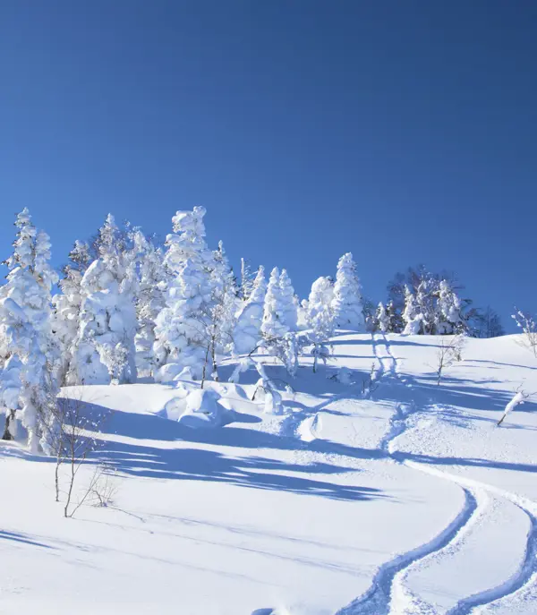 japan_snow_landscape.jpg