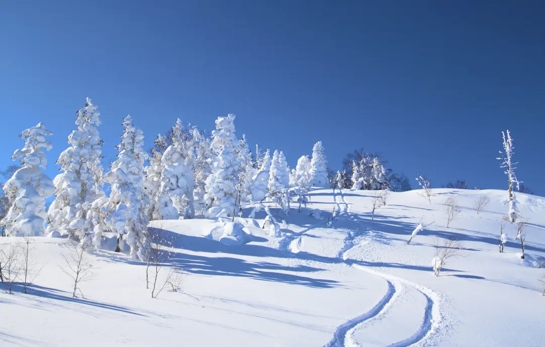japan_snow_landscape.jpg