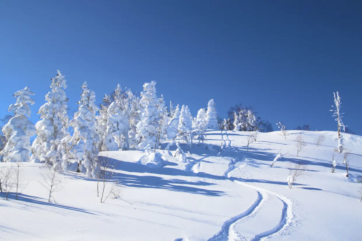 Skiferie til Canada med Danexplore
