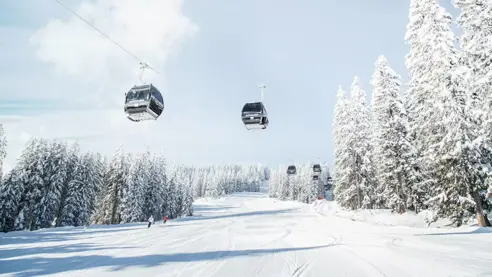 Flachau har stor liftkapacitet og ny gondollift.