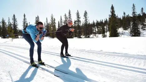Skistar Cross Country Arena