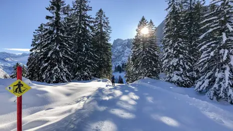 Skiferie til Dachstein West