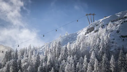Panoramajet Gosau (C) DAG, Mirjageh