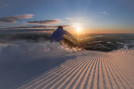 200219 Om Trysil Skikjoring 50978687851 O