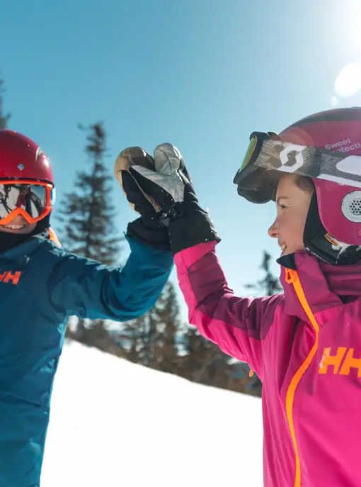Alpincokvitfjell 51
