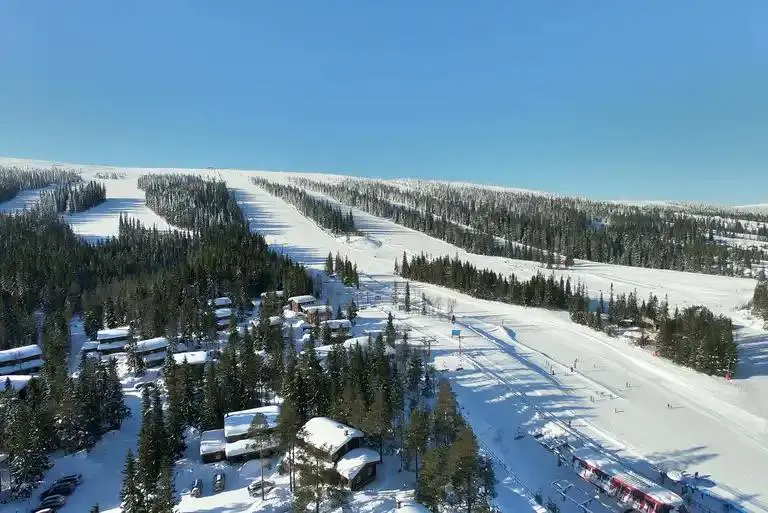 Timmerbyn Top 1216B Type p. Lejl. til max 6 personer. 1 sovevær. (53 kvm)